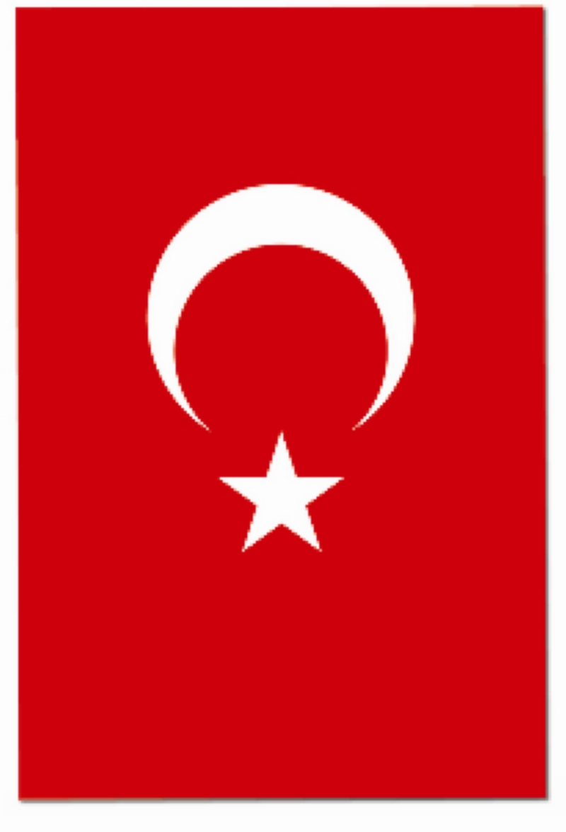 ALPAKA TÜRK BAYRAĞI